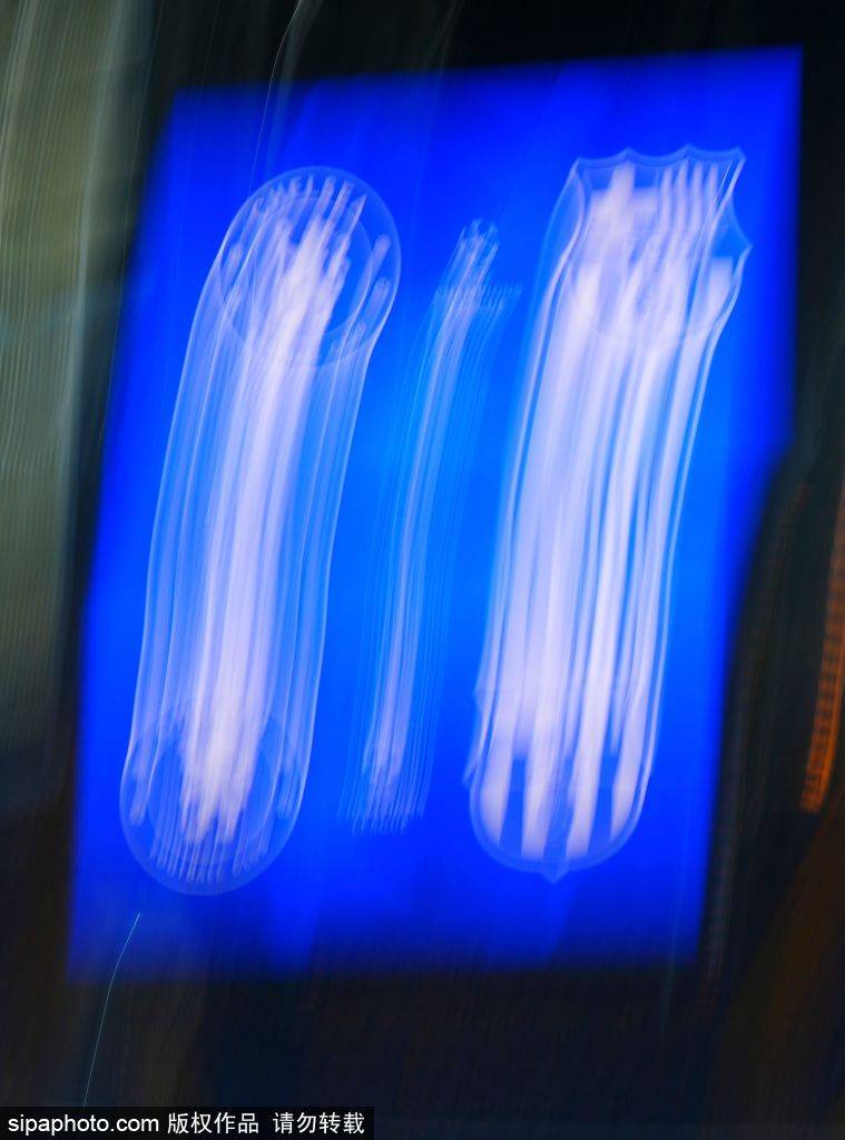 恩佐·马雷斯卡：从挑战者到竞争者，切尔西的革命之路